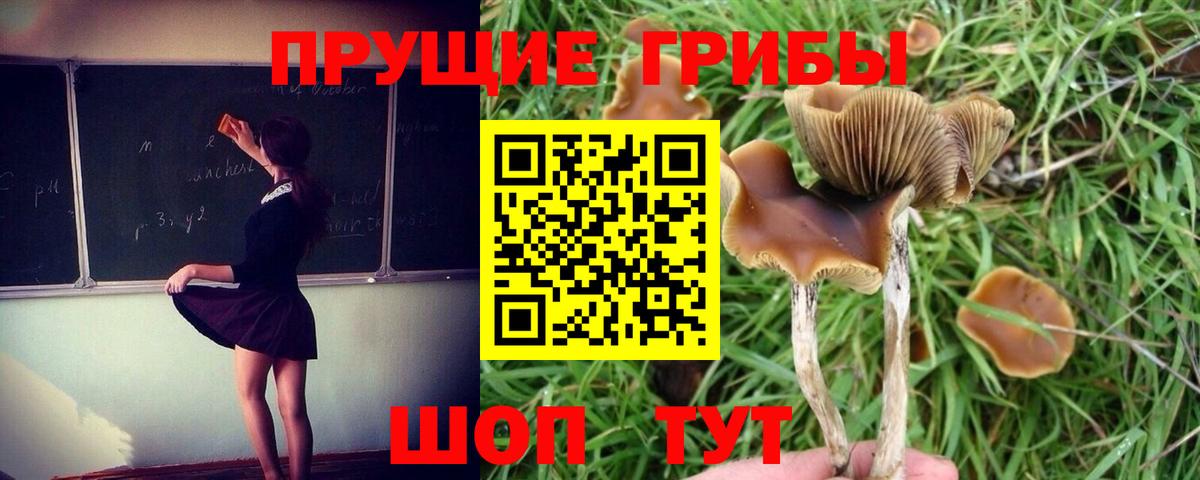 Канск  Галлюциногенные грибы Psilocybe  Вход с VPN  Галлюциногенные грибы ЛСД 
